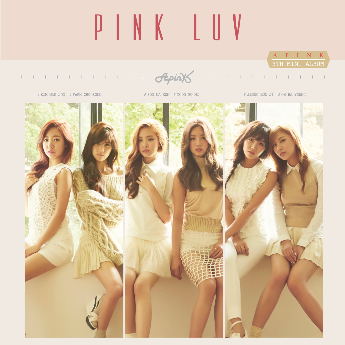 APink Pink Luv