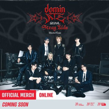 Stray Kids World Tour dominATE Seoul Official MD