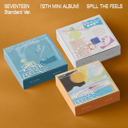 Seventeen Spill The Feels Lucky Draw collectible card from Poptheshop featuring vibrant design and band member images.